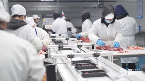 牛肉市場波動下，安順肉牛產業與餐飲服務的穩健發展之道